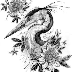 Blue Heron (pre-order)