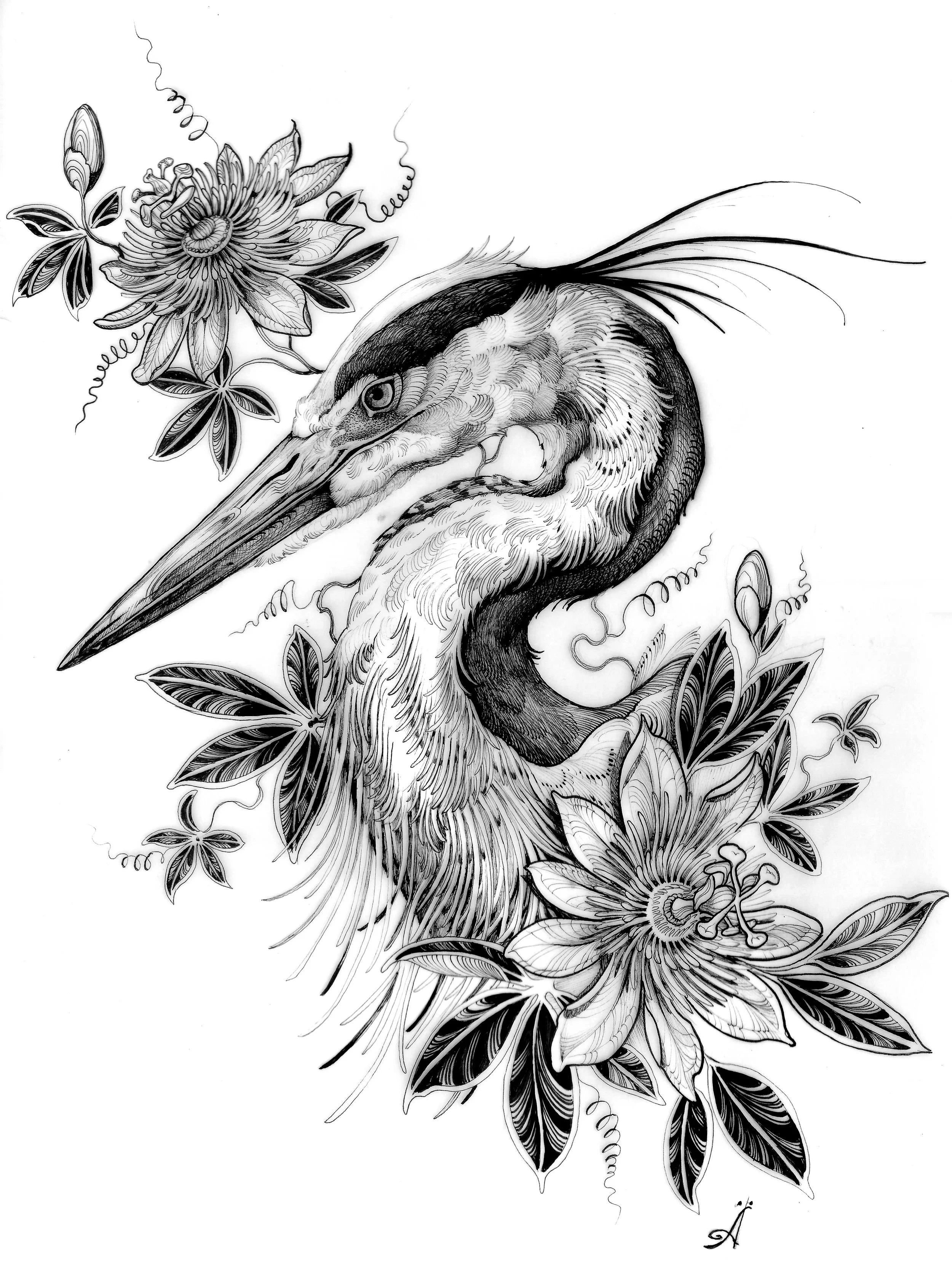 Blue Heron (pre-order)