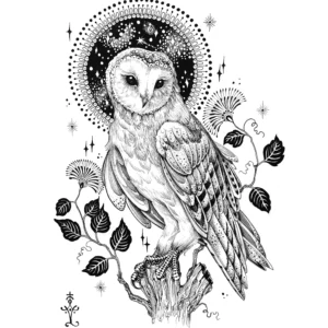 Owl