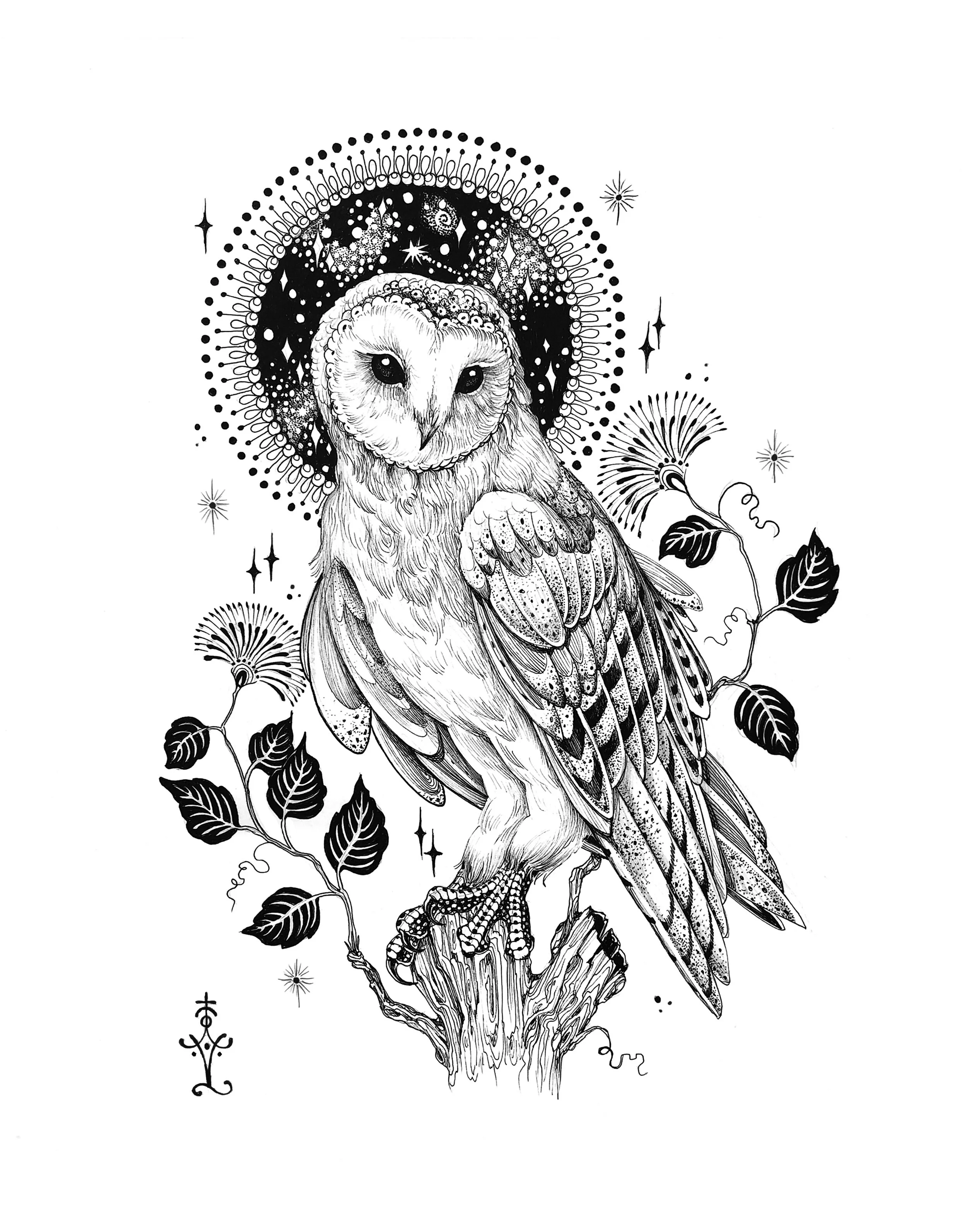 new owl.jpg