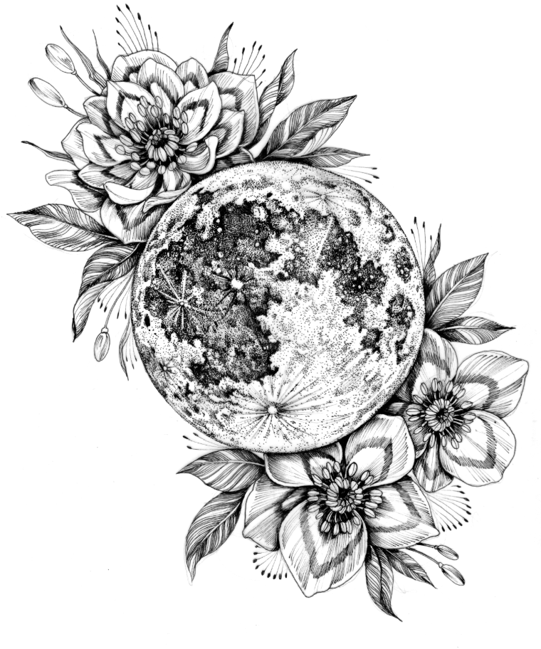 Pink Moon